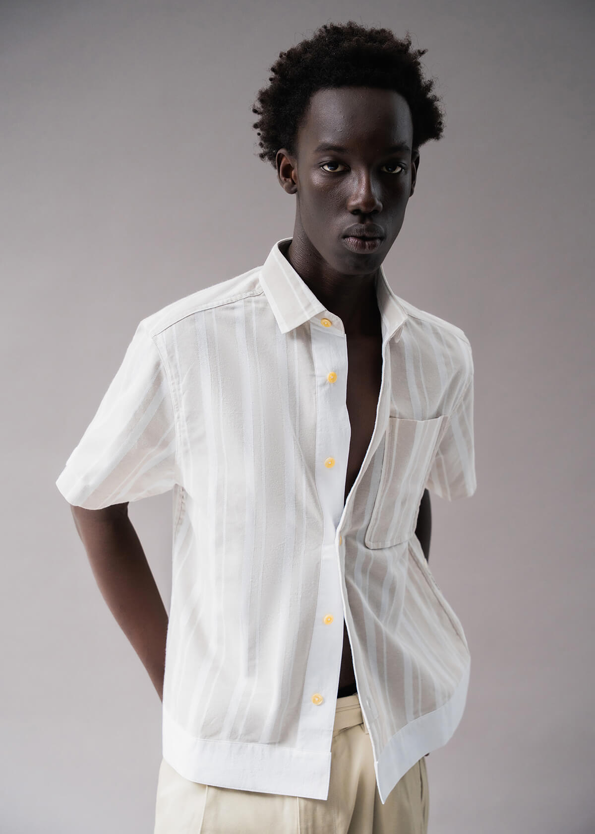 Chevron Stripe Cream